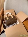Louis Vuitton Fashion Bag