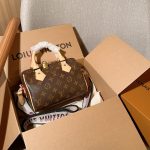 Louis Vuitton Fashion Bag