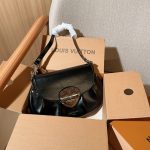Louis Vuitton Fashion Bag