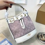 Coach Fashion Bag