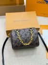 Louis Vuitton Fashion Bag