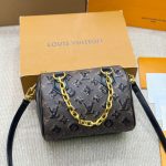 Louis Vuitton Fashion Bag