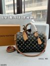 Louis Vuitton Fashion Bag