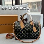 Louis Vuitton Fashion Bag