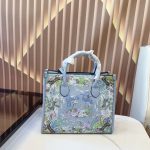 Louis Vuitton Fashion Bag