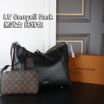Louis Vuitton Fashion Bag