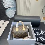 Louis Vuitton Fashion Bag