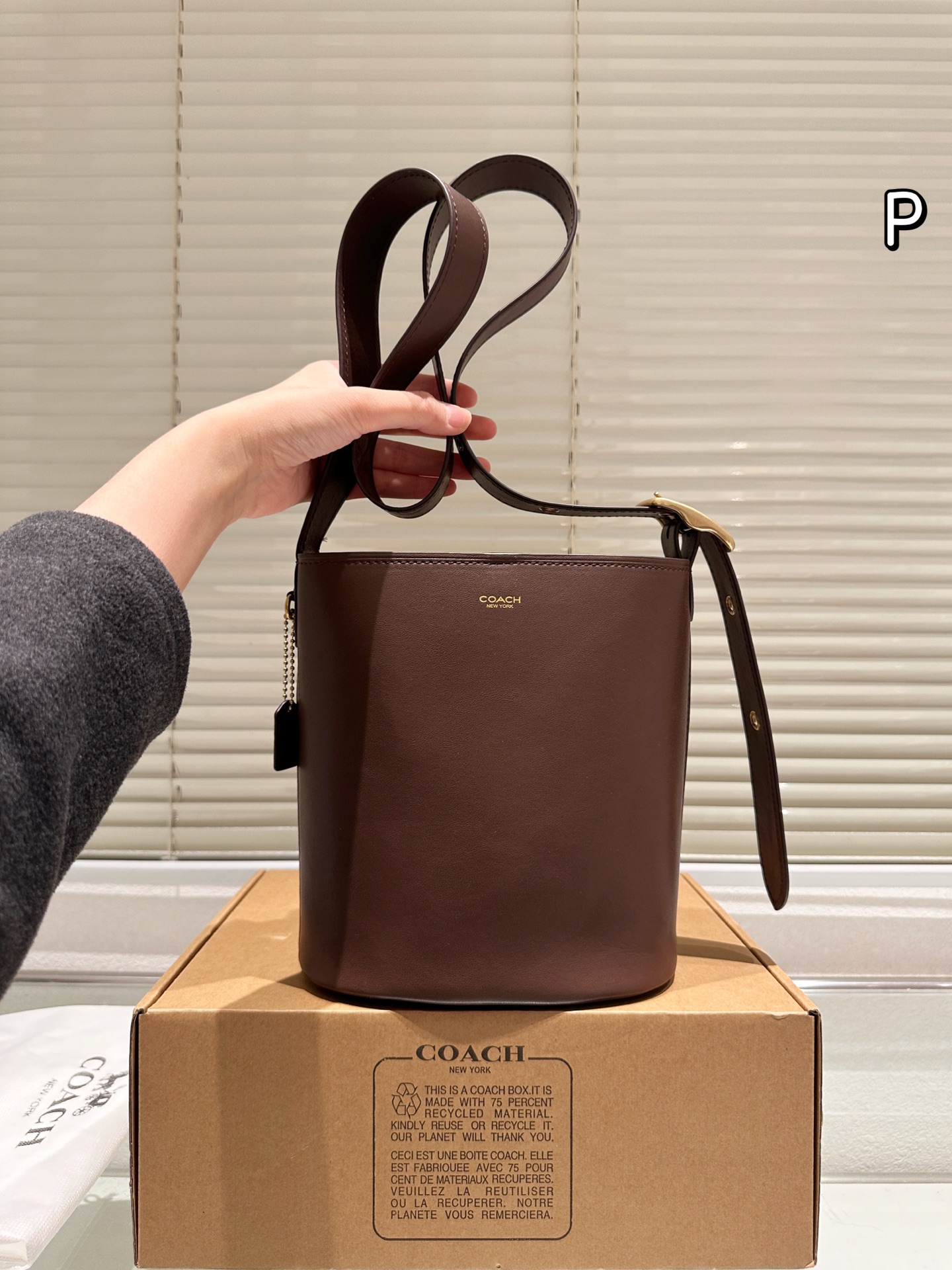 wsxc1763305669451_0 Coach Fashion Bag - Image 1