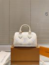Louis Vuitton Fashion Bag