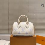 Louis Vuitton Fashion Bag
