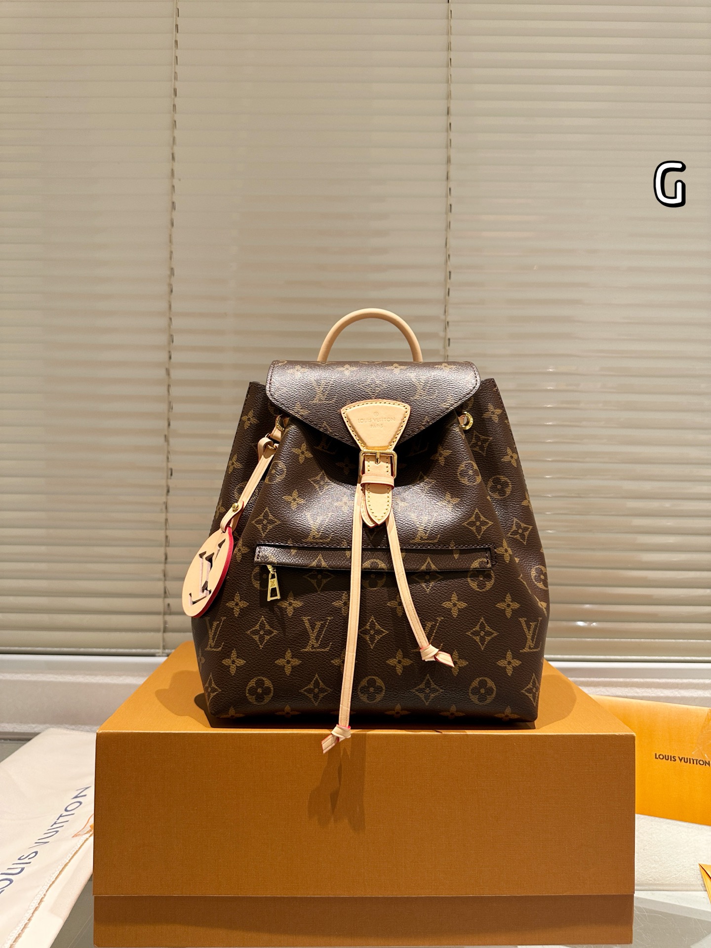 wsxc1763308778981_0 Louis Vuitton Fashion Backpack - Image 1