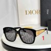 Dior Fashion Sunglasses