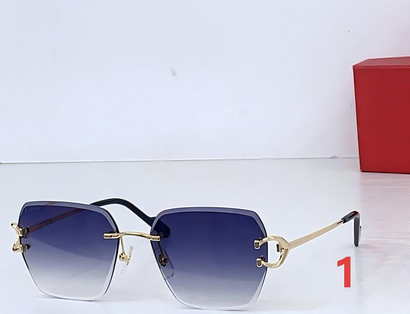 wsxc1763463819975_0 Cartier Fashion Sunglasses - Image 1