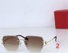 Cartier Fashion Sunglasses - Image 6