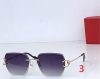 Cartier Fashion Sunglasses - Image 5