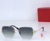 Cartier Fashion Sunglasses - Image 3
