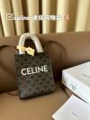 Celine Fashion Bag
