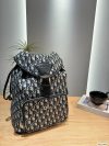 Dior Fashion Backpack
