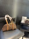 Louis Vuitton Fashion Bag