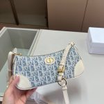 Dior Fashion Bag