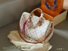 Louis Vuitton Fashion Bag