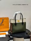 Louis Vuitton Fashion Bag