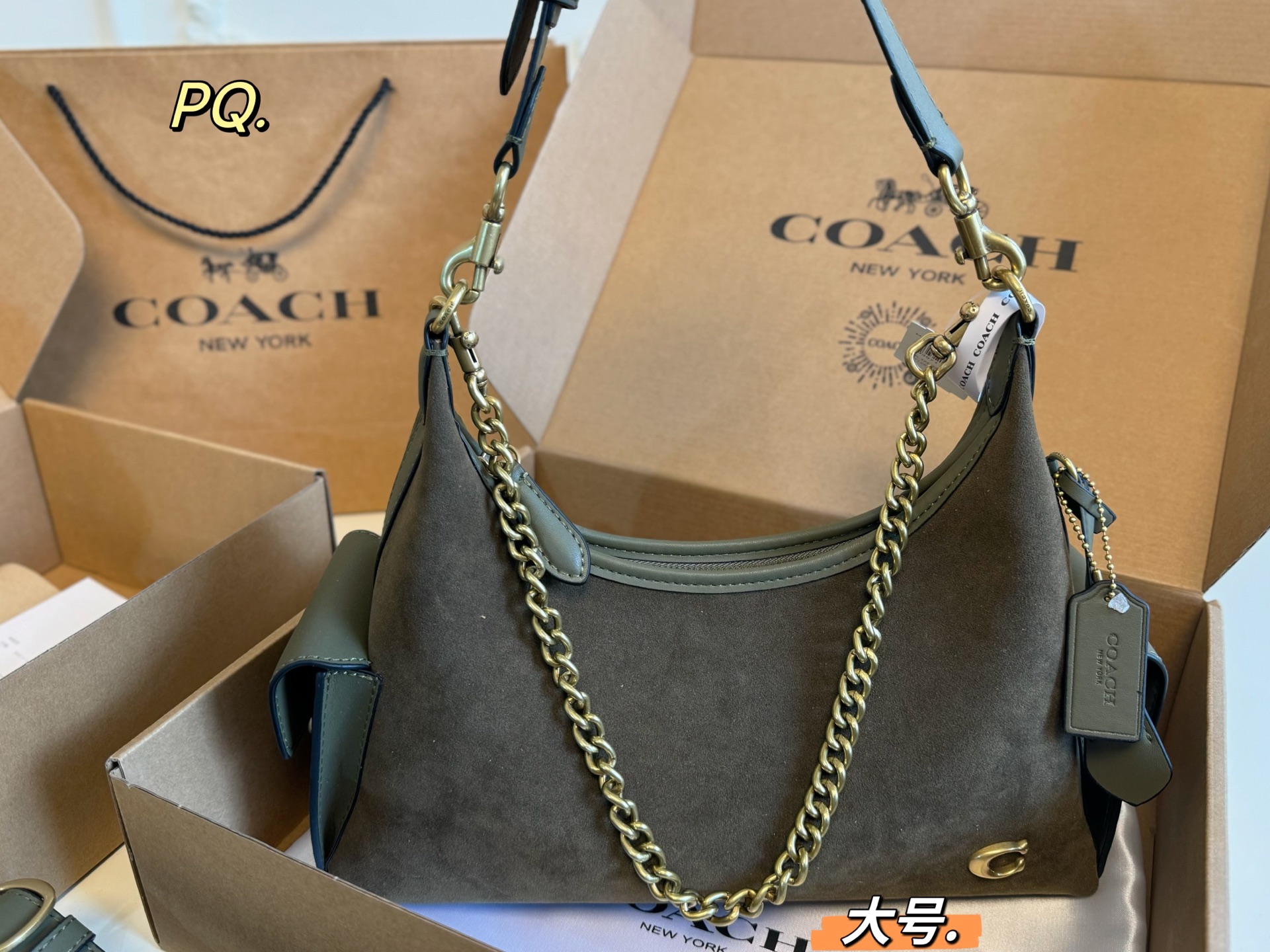 wsxc1763813156566_0 Coach Fashion Bag - Image 1