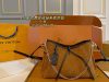 Louis Vuitton Fashion Bag