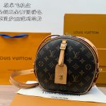 Louis Vuitton Fashion Bag