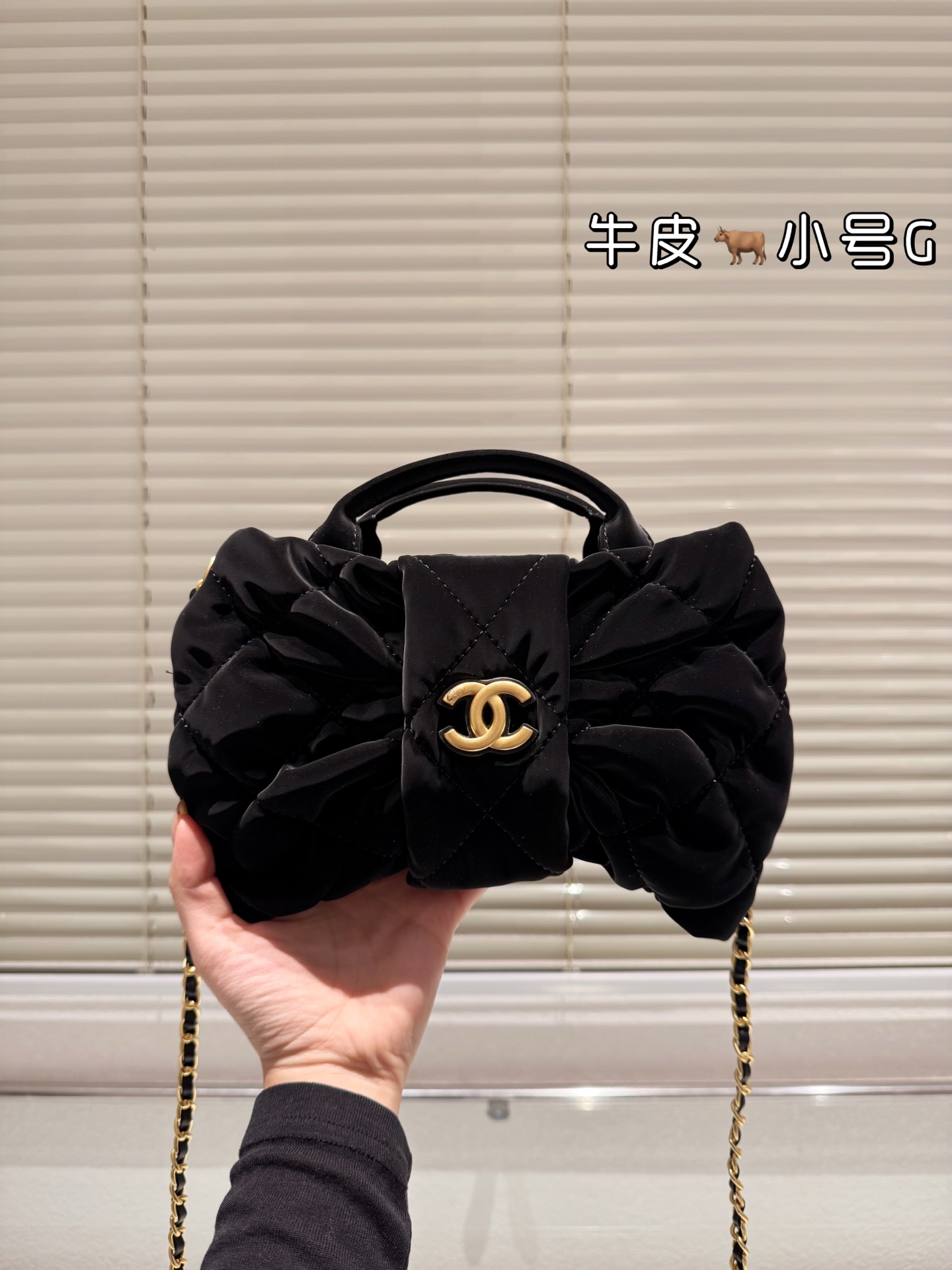 wsxc1763825116031_0 Chanel Fashion Bag - Image 1