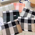 Burberry Fashion Scarf