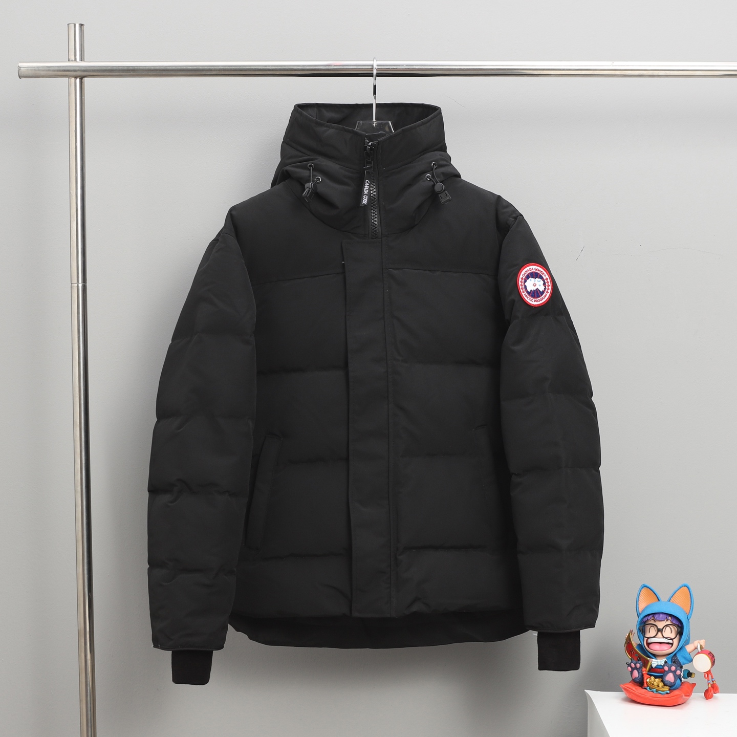 wsxc1764036045762_0 Canada Goose Down Jacket - Image 1