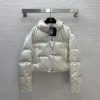 Louis Vuitton Down Jacket