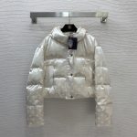 Louis Vuitton Down Jacket