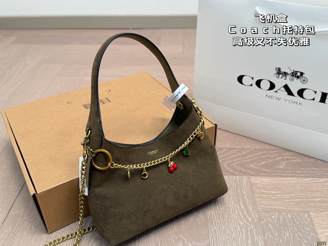 wsxc1764351928175_1 Coach Fashion Bag - Image 1