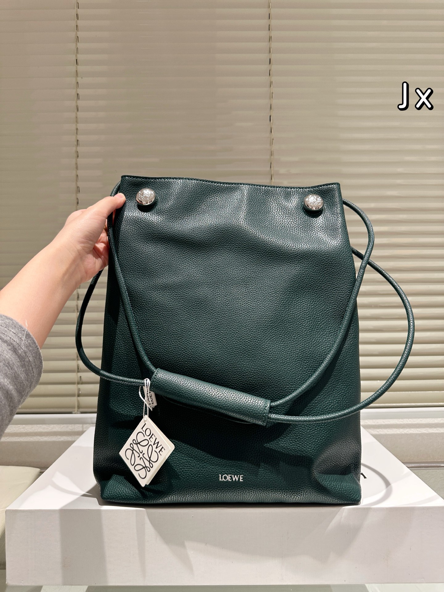 wsxc1764510174362_0 Loewe Fashion Bag - Image 1