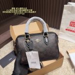Coach Fashion Bag