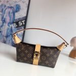 Louis Vuitton Fashion Bag