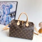 Louis Vuitton Fashion Bag