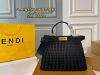 Fendi Fashion Bag