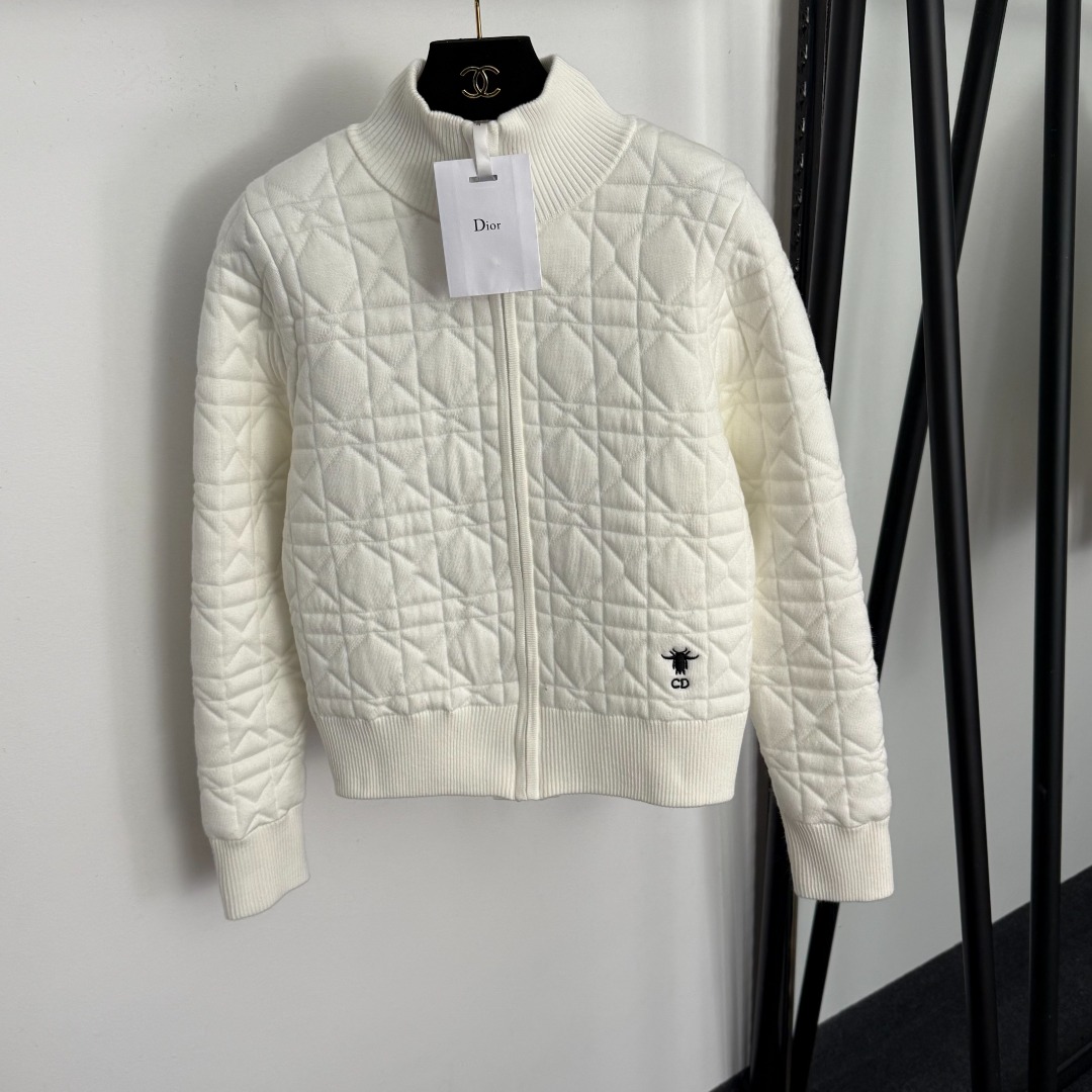 wsxc1764900872268_0 Dior jacket - Image 1