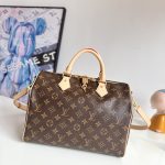 Louis Vuitton Fashion Bag