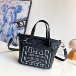 Louis Vuitton Fashion Bag