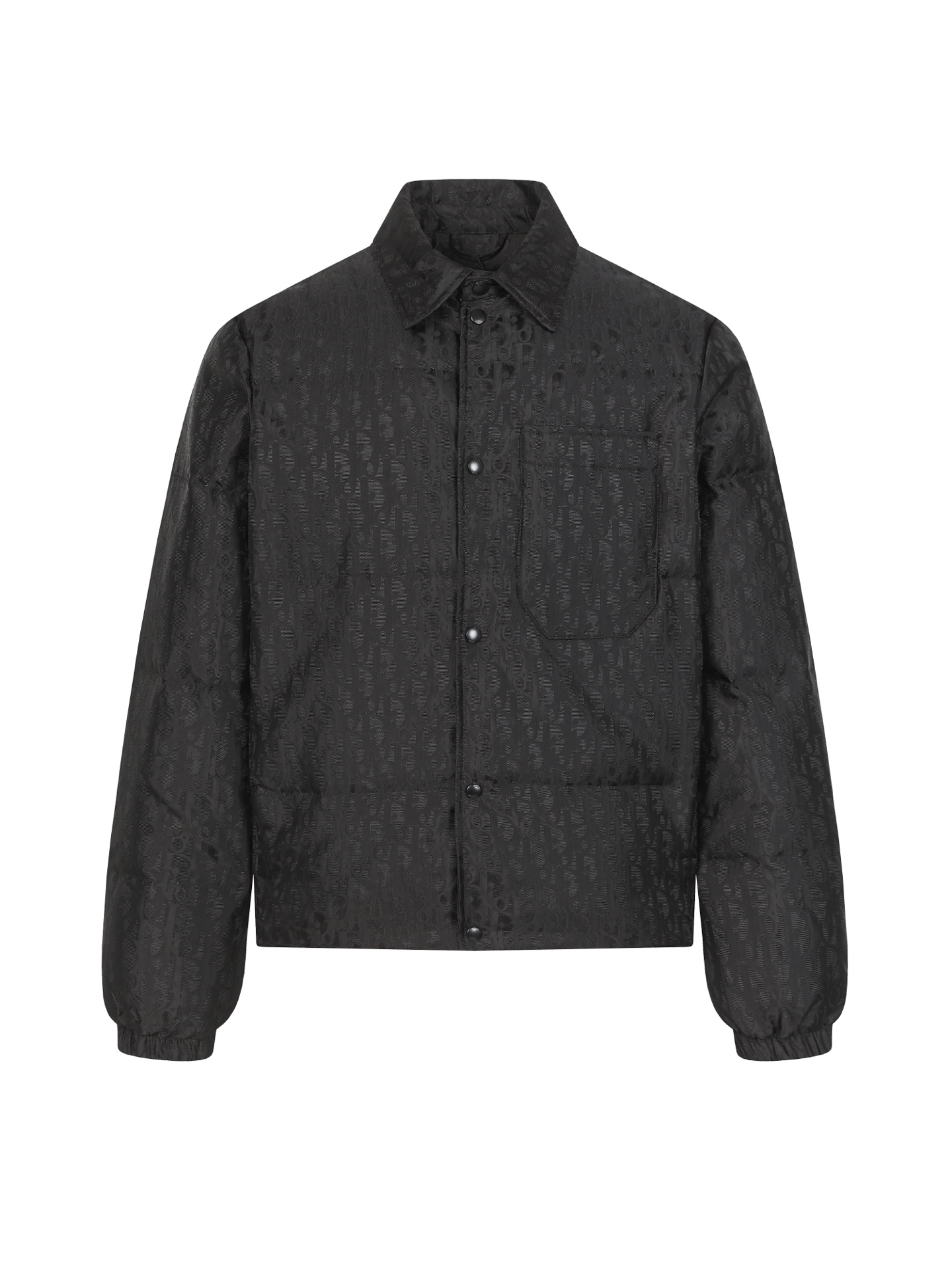 wsxc1764951238674_0 Dior down jacket - Image 1