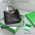 Bottega Veneta Fashion Bag