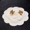 Celine earrings
