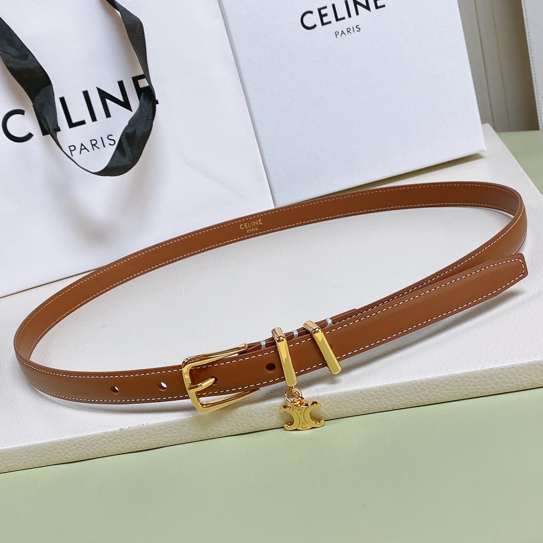 wsxc1765861077441_0 Celine Belt - Image 1