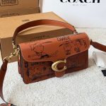 Coach Fashion Bag