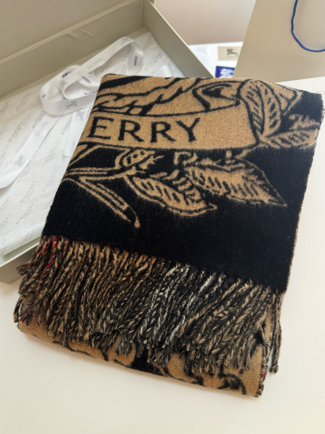 wsxc1767294587607_1 Burberry Fashion Scarf - Image 1
