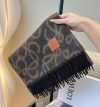 LOEWE Fashion Scarf